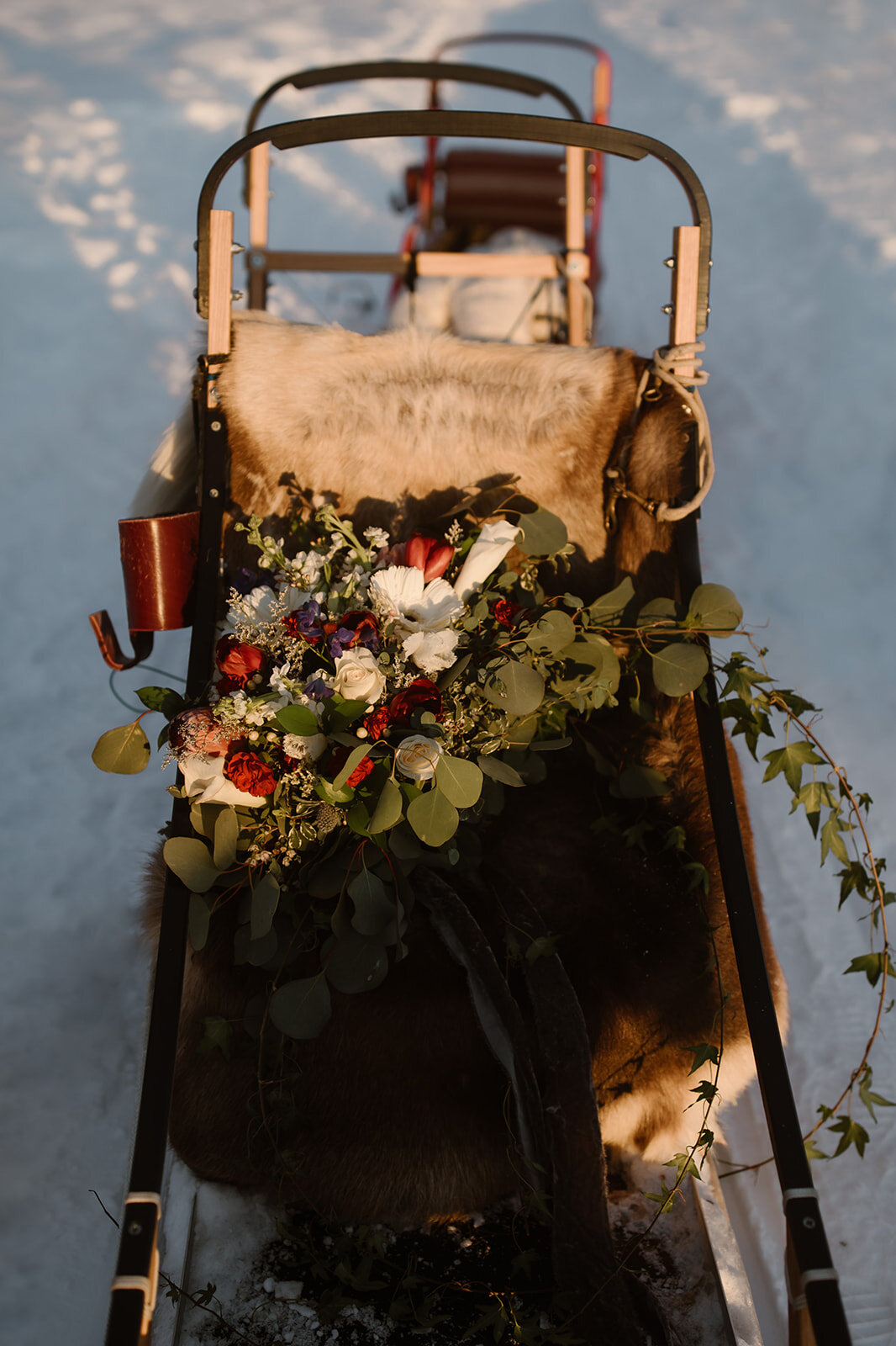 Alaska Dog Mushing Wedding