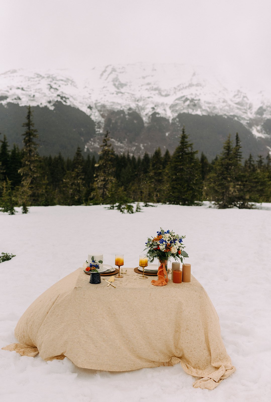 Winter Elopement