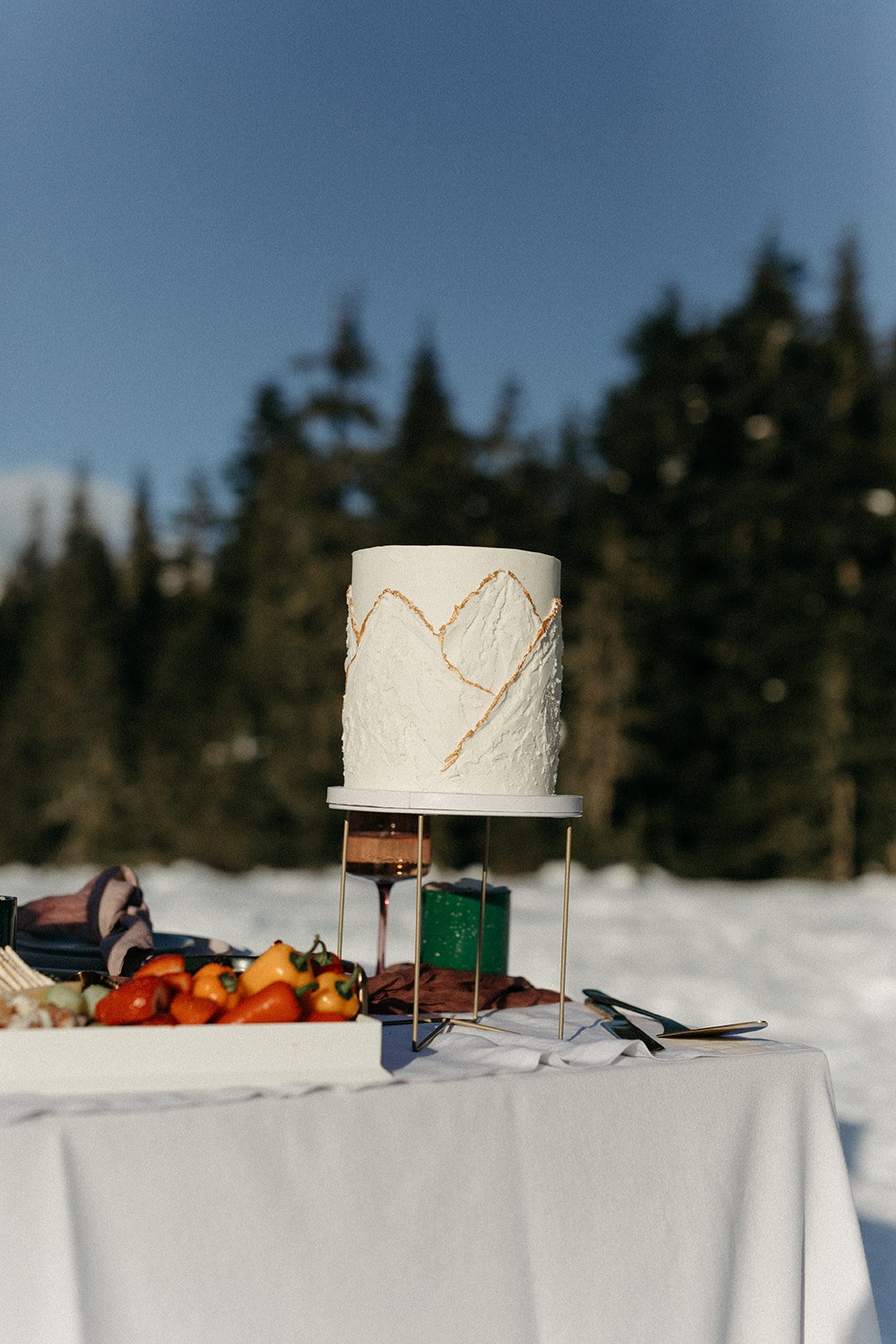 Winter Elopement 