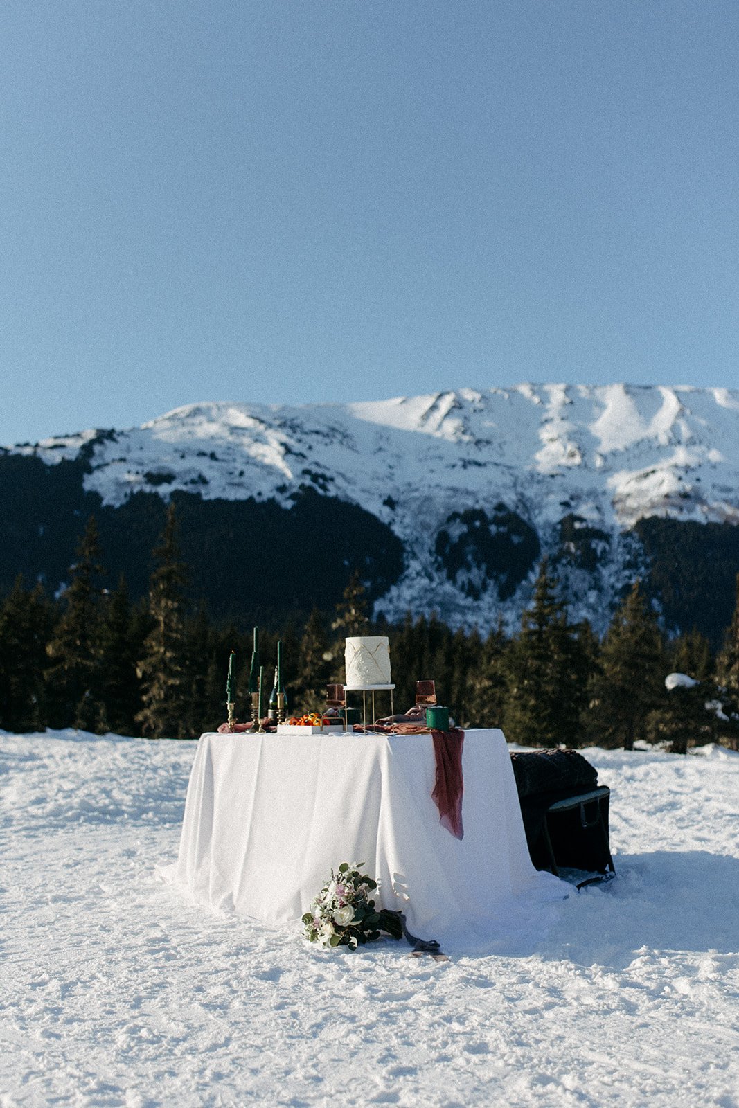 Winter Elopement 