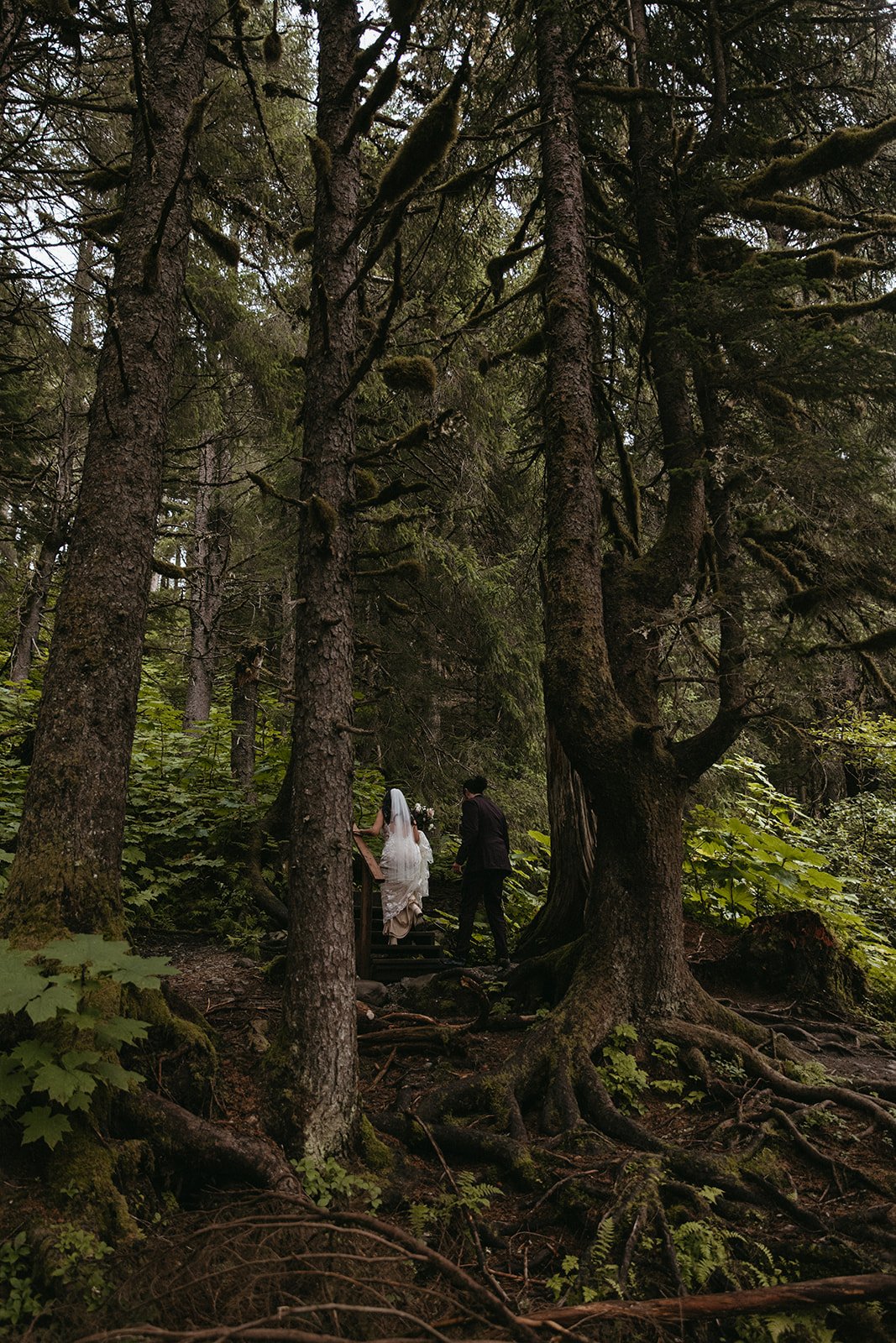 elope in the mountains