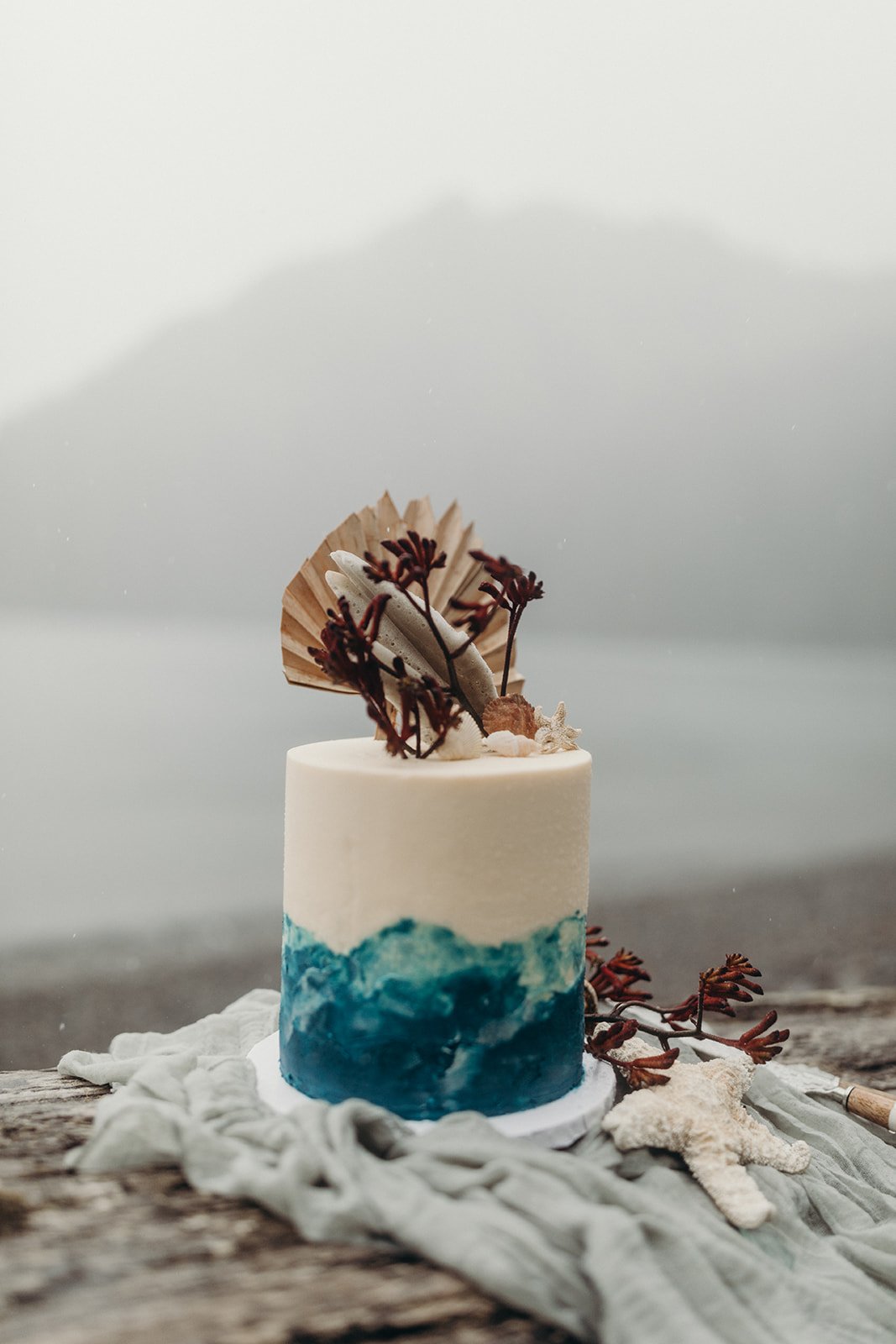 Alaska Wedding and elopements