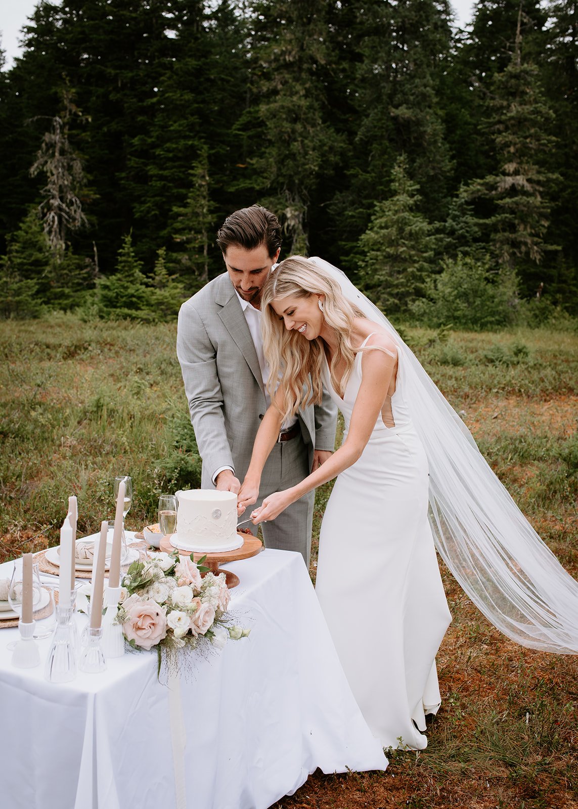 Alaska Elopement Cake